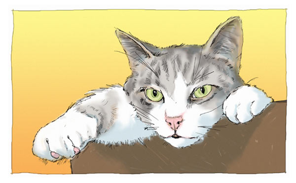 Goodbye to Kitty: Illustration 1: Clem the Cat