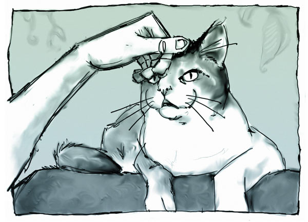 Goodbye to Kitty: Illustration 2: Petting Clem the Cat